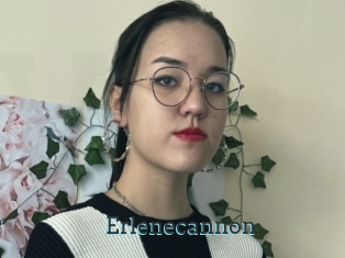 Erlenecannon