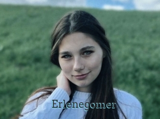 Erlenegomer