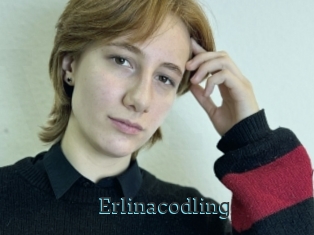 Erlinacodling