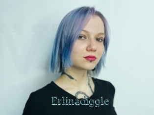 Erlinadiggle