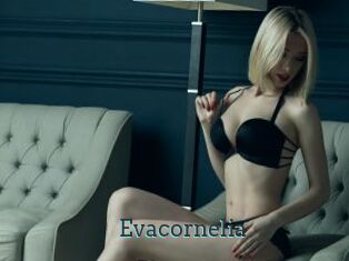 Evacornelia
