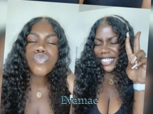 Evamae