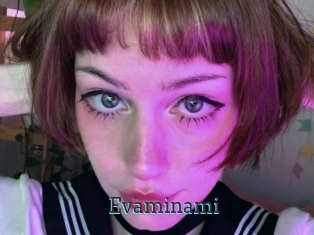 Evaminami