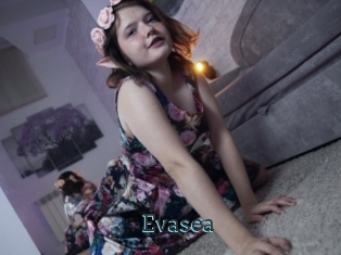 Evasea