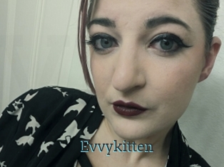 Evvykitten