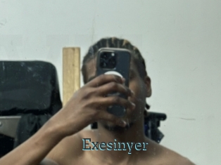 Exesinyer