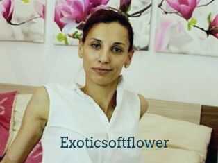 Exoticsoftflower