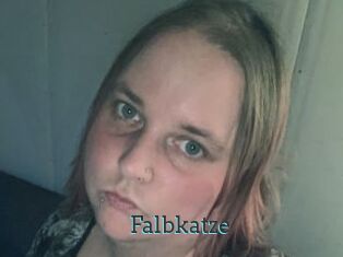 Falbkatze
