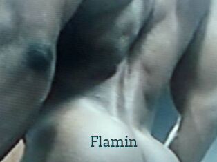 Flamin