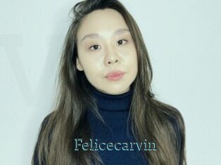 Felicecarvin