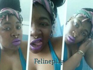 Felineplay
