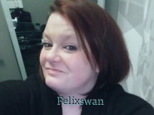 Felixswan