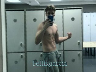 Fellixgarcia