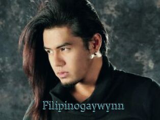 Filipinogaywynn