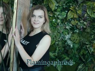 Flamingaphrodi