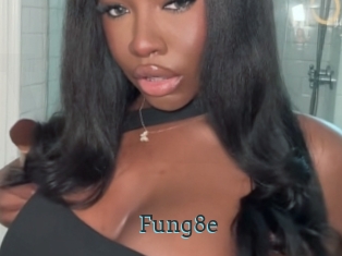 Fung8e