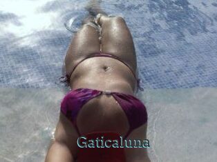 Gaticaluna