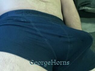 GeorgeHorns