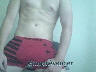 GingerAvenger