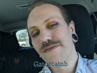 Gatorcatnb