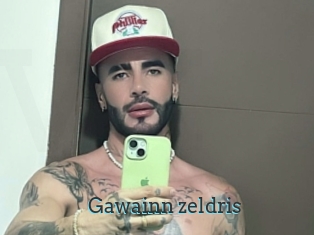 Gawainn_zeldris