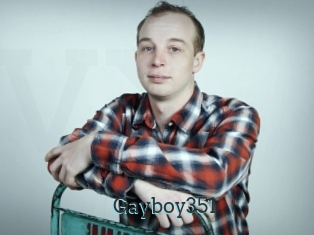 Gayboy351