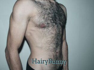 HairyBunny