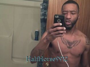 HalfHorse9912
