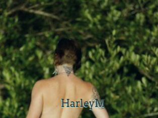 HarleyM