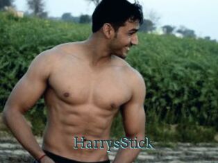 HarrysStick