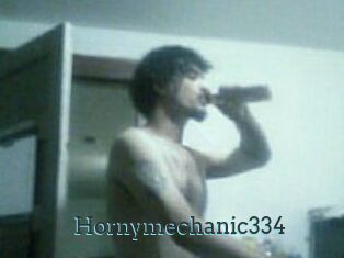 Hornymechanic334