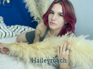 Haileyroach