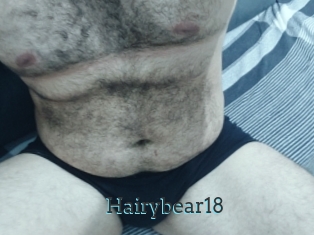 Hairybear18