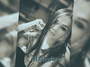 Harleyboo