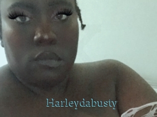 Harleydabusty