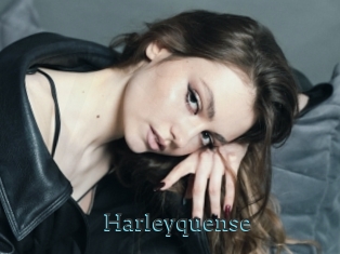 Harleyquense
