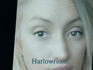 Harlowrose