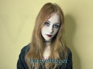 Harrietbigger
