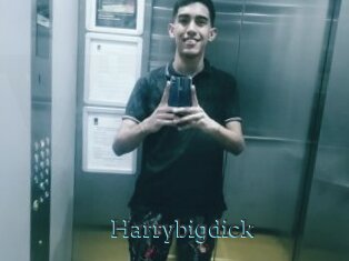 Harrybigdick