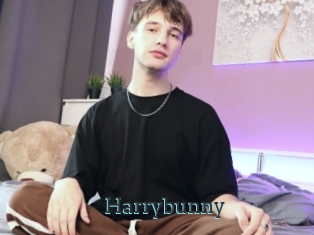 Harrybunny