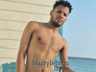 Harrylebron
