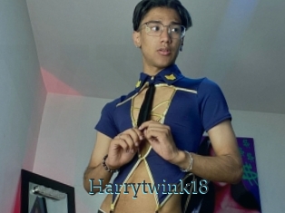 Harrytwink18