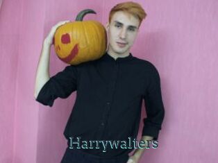 Harrywalters