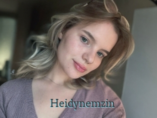 Heidynemzin