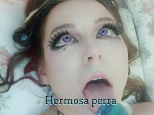 Hermosa_perra