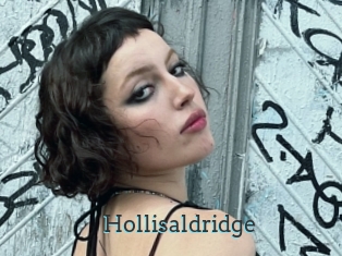 Hollisaldridge