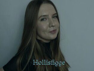 Hollisfigge