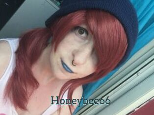 Honeybee66