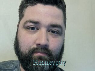 Horneyguy