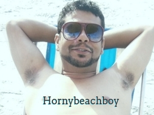 Hornybeachboy